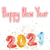 Happy New Year 2021 13