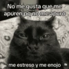 No me gusta que me Untal Diego apuren pq no me apuro me estreso y me enojo 200