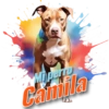 Dia del perro 4 24