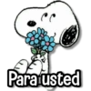 م Parafusted