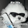 Perritos pal chat 🐕 24