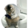 Funny pets 22
