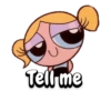 The PowerPuff Girls 12