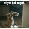 Yupsi2 8