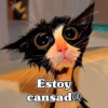 Estoy cansad@