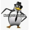 Nel puta jajaja