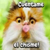 Cuéntame el chisme!
