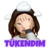 MEMOJI 12