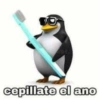 cepillate el ano