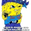 Bob cholo 10