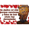 Bob cholo 26