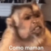 🚨RANDOM para ti 😎🫵🏻 17