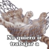 No quiero ir trabajar a