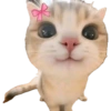 Kucing lucu 6