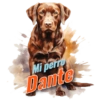 Dia del perro 4 19