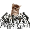 Prometo sacar el Lunes
