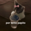 Memes 48 25