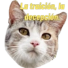 Miaufry Amante 29