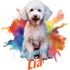 Dia del perro 4 30