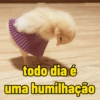 todo dia é uma humilhação
