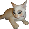 Gata de make memes 10