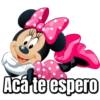 Minnie Mouse 16