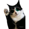 Gatitos 10