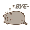 N z BYEⓇ