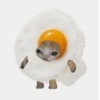 кошачья еда 6