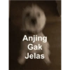 Anomali naek anjing 14