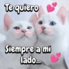 Te quiero Siempre a mi lado...