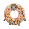 кошачья еда 7
