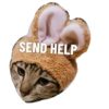 SEND HELP