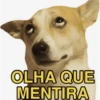 OLHA QUE MENTIRA