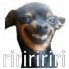 riniririri