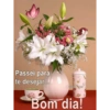 Meu pacote de boa noite 23