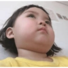 Jinmiran 23