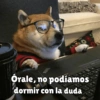 Perritos pal chat 🐕 15