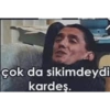 çok da sikimdeydi kardeş.