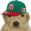 Changuito 18