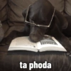 ta phoda
