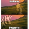 Deshonra Desgracia