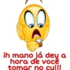 MEMES ÚTEIS 12