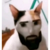 Shitpost 2 XD 15