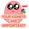 NKF YOUR KIDNEYS ARE IMPORTANT