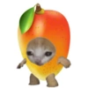 🐈🍓🍉Gatos Frutas🍓🍉🐈 7
