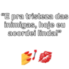 Indiretas 17