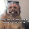 🚨RANDOM para ti 😎🫵🏻 12