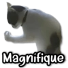 Magnifique