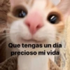 Que tengas un día precioso mi vida